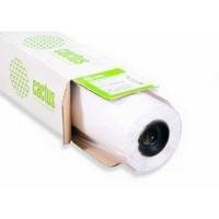 бумага Cactus CS-LFPTR-61045