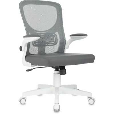 Бюрократ ASTER N-W GREY