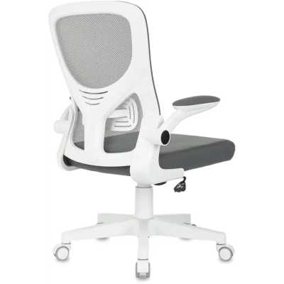 Бюрократ ASTER N-W GREY