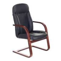 Бюрократ T-9923WALNUT-AV/CH