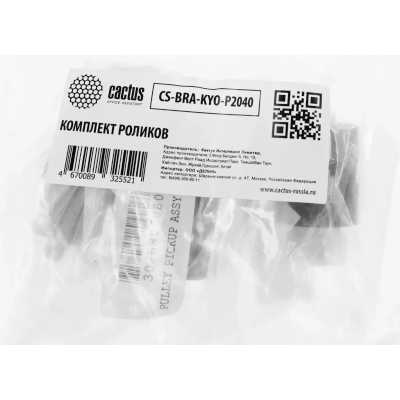 Cactus CS-BRA-KYO-P2040