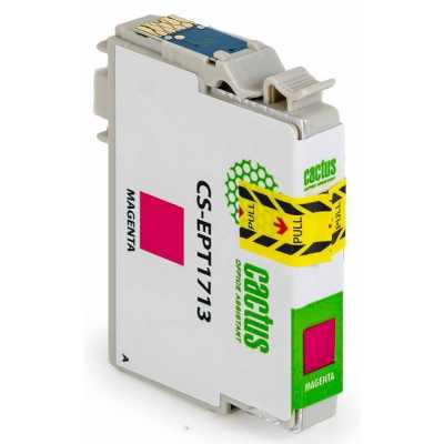картридж Cactus CS-EPT1713