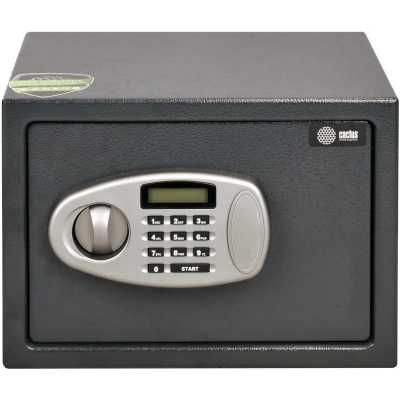 Cactus CS-SF-E25