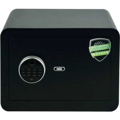 Cactus CS-SF-F30