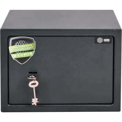 Cactus CS-SF-K25