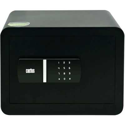 Cactus CS-SF-T30