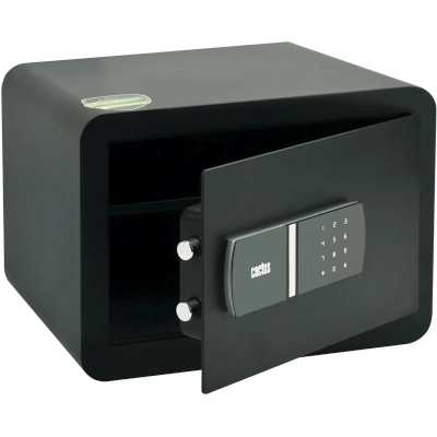 Cactus CS-SF-T30