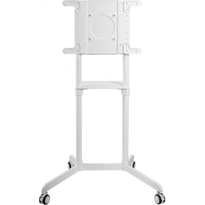 Cactus CS-ST1146WT