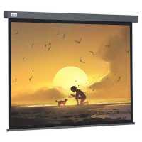 экран для проектора Cactus Wallscreen CS-PSW-124X221-SG