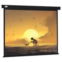 экран для проектора Cactus Wallscreen CS-PSW-150X150-BK