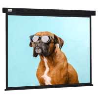 экран для проектора Cactus Wallscreen CS-PSW-183X244-BK