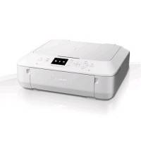 МФУ Canon Pixma MG5540 White