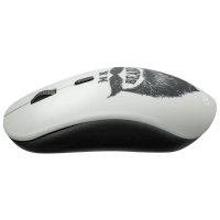 мышь Canyon CND-CMSW401BD