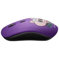 Canyon CND-CMSW401PB