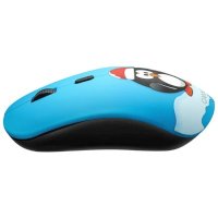 Canyon CND-CMSW401PG