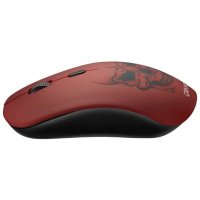 Canyon CND-CMSW401RS