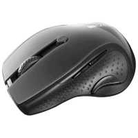 Canyon MW-01 CNS-CMSW01B