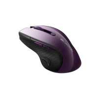 Canyon MW-01 CNS-CMSW01P