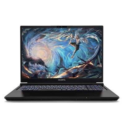 ноутбук Colorful EVOL X16 Pro 23 A10205400059-wpro