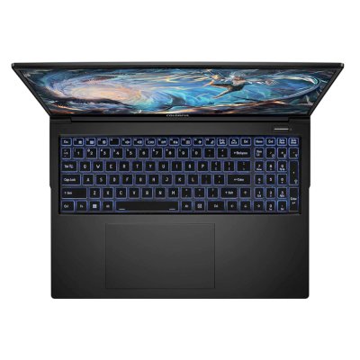 ноутбук Colorful EVOL X16 Pro 23 A10205400059-wpro