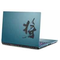 ноутбук Colorful X17 AT 22 A10003400122