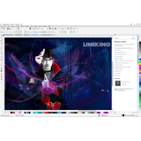 графика и моделирование CorelDRAW Graphics Suite 2017 LCCDGS2017MLCRA