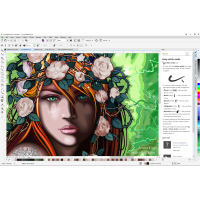 CorelDRAW Graphics Suite 2017 LCCDGS2017MLCRA