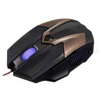 Crown CMXG-606 Brown