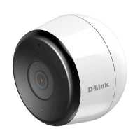 IP видеокамера D-Link DCS-8600LH/A2A