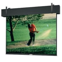 экран для проектора Da-Lite Professional Electrol 295 4:3