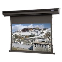 экран для проектора Da-Lite Tensioned Contour Electrol 110 137x244см