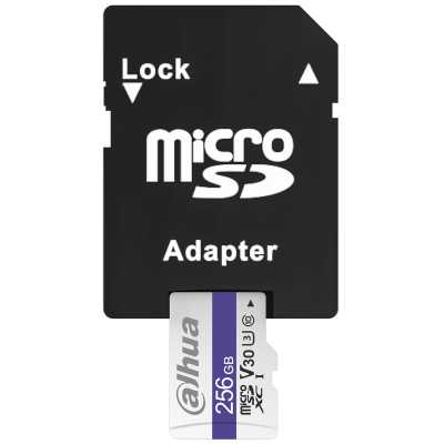 Dahua C100A 256GB DHI-TF-C100A-256GB