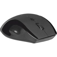 мышь Defender Accura MM-295 Black