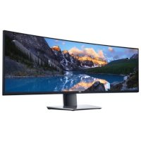 Dell U4919DW