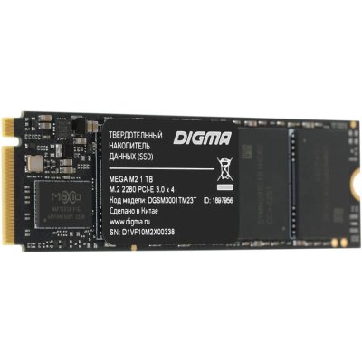 Digma Mega M2 1Tb DGSM3001TM23T