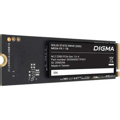 Digma Mega P5 1Tb DGSM3001TP53T