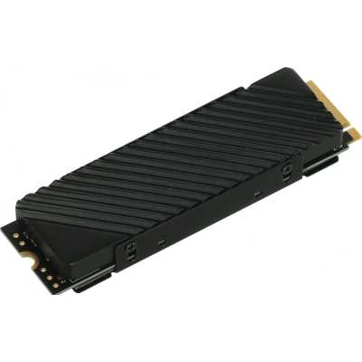 SSD диск Digma Top G3 1Tb DGST4001TG33T
