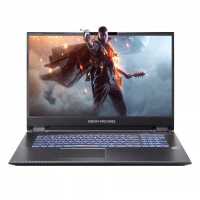 ноутбук Dream Machines RG2070S-17RU31