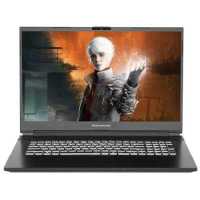 ноутбук Dream Machines RG3060-17KZ38-wpro