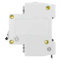 автоматический выключатель EKF ВА 47-29 2P (C) 4.5kA 20 А mcb4729-2-20C