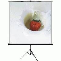 экран для проектора Dinon Tripod 180x240 MW
