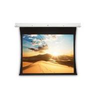 экран для проектора Projecta Tensioned Descender Electrol 10192496