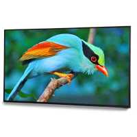 профессиональный дисплей EliteBoard LK-65UL2SX