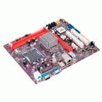 EliteGroup ECS G31T-M7