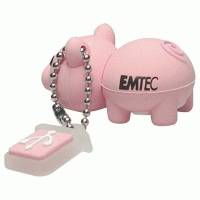 Emtec 4GB M319