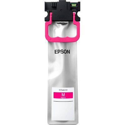 картридж Epson C13T01C300