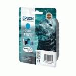 картридж Epson C13T10324A10