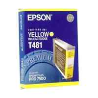 Epson C13T481011