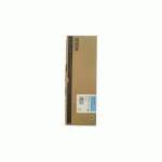 картридж Epson C13T591500