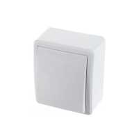 выключатель Эра Эксперт Б0020653